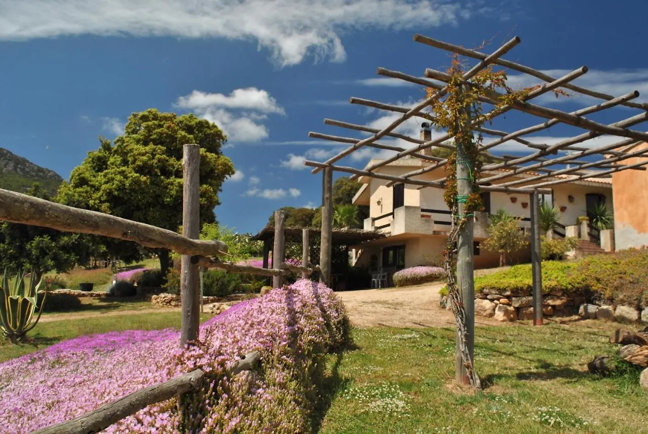 Bed & Breakfast B&B Predda Bianca Campanedda