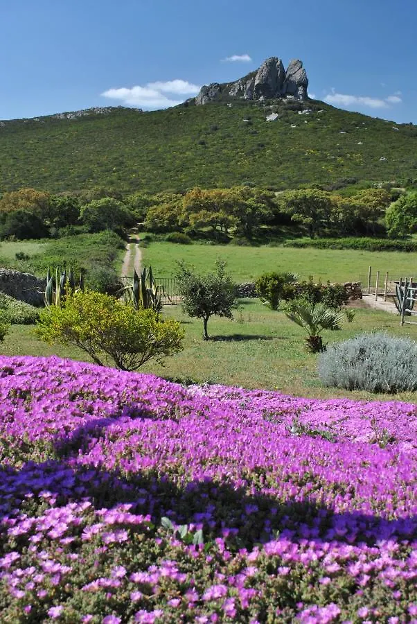 Bed and breakfast B&B Predda Bianca Campanedda Italia